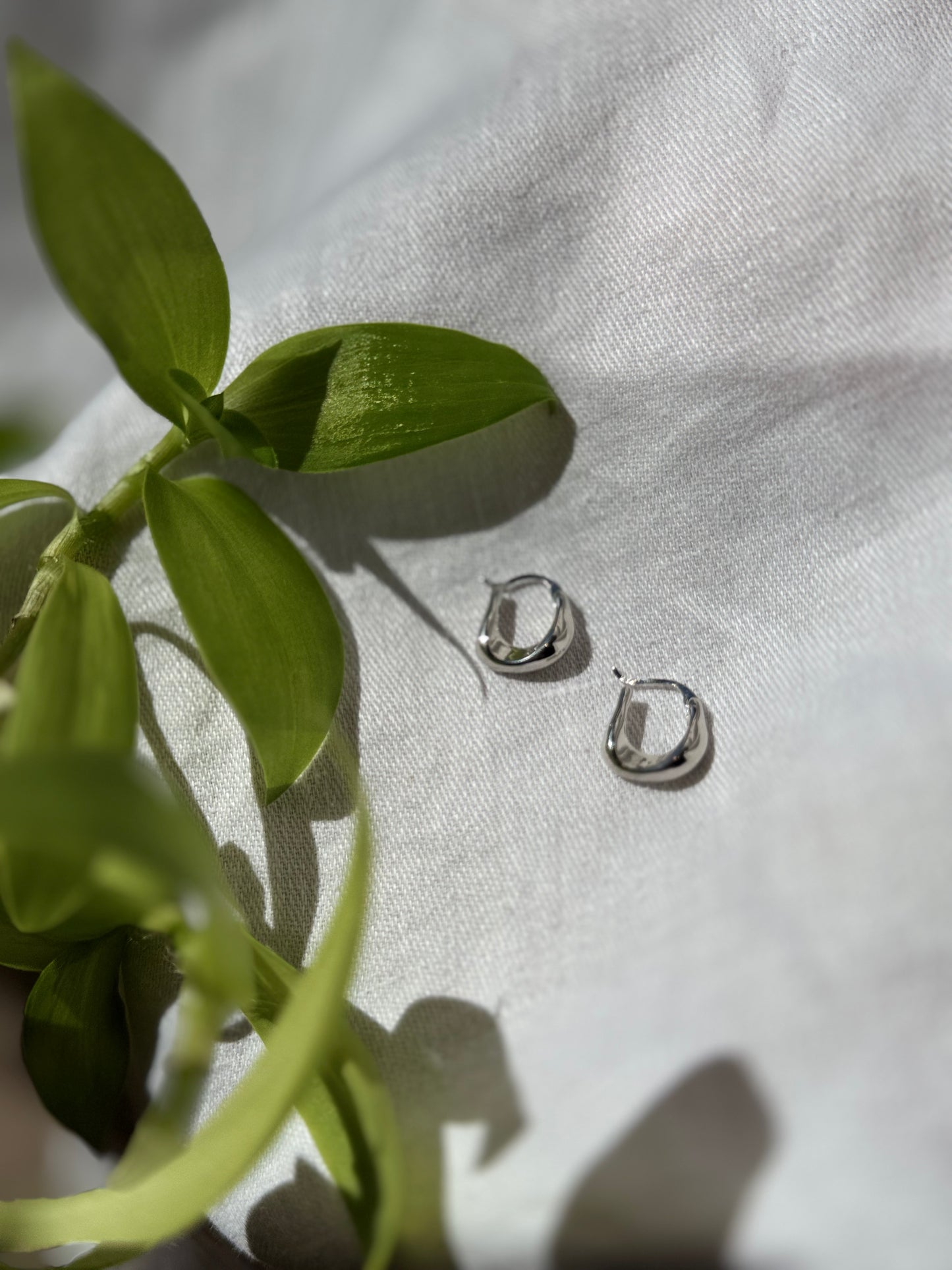 Gold | Silver Earring $16